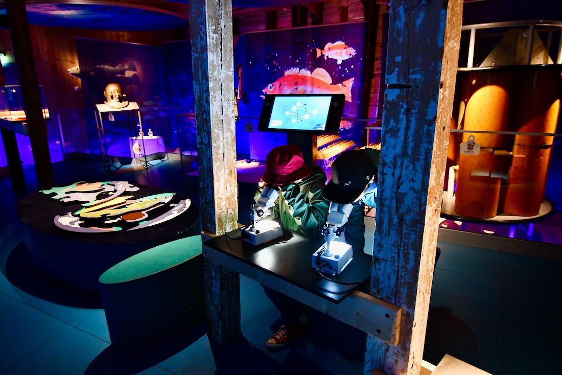 Das Fischereimuseum in Bergen