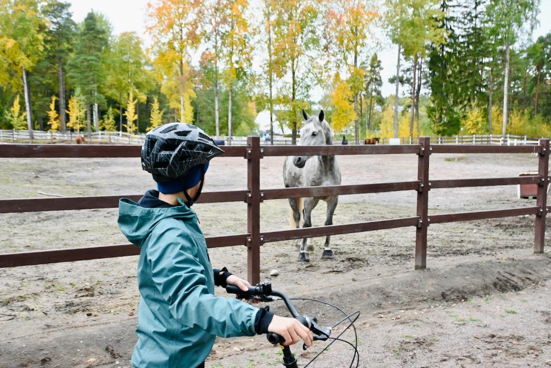 Flo und ein Pferd im Central Park