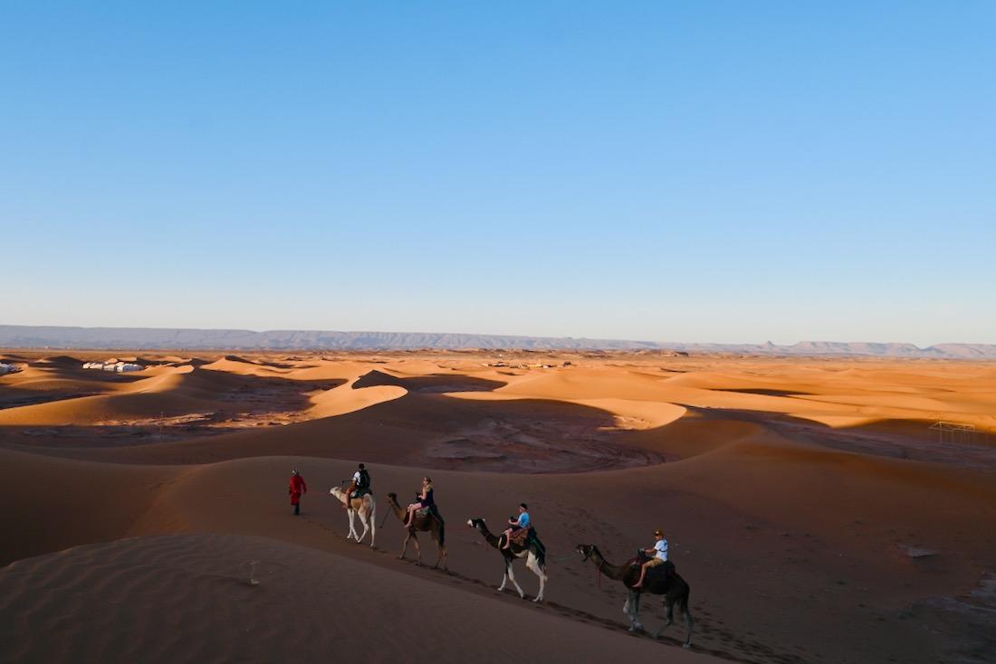 Auf Dromedaren vor dem Aladdin Desert Camp