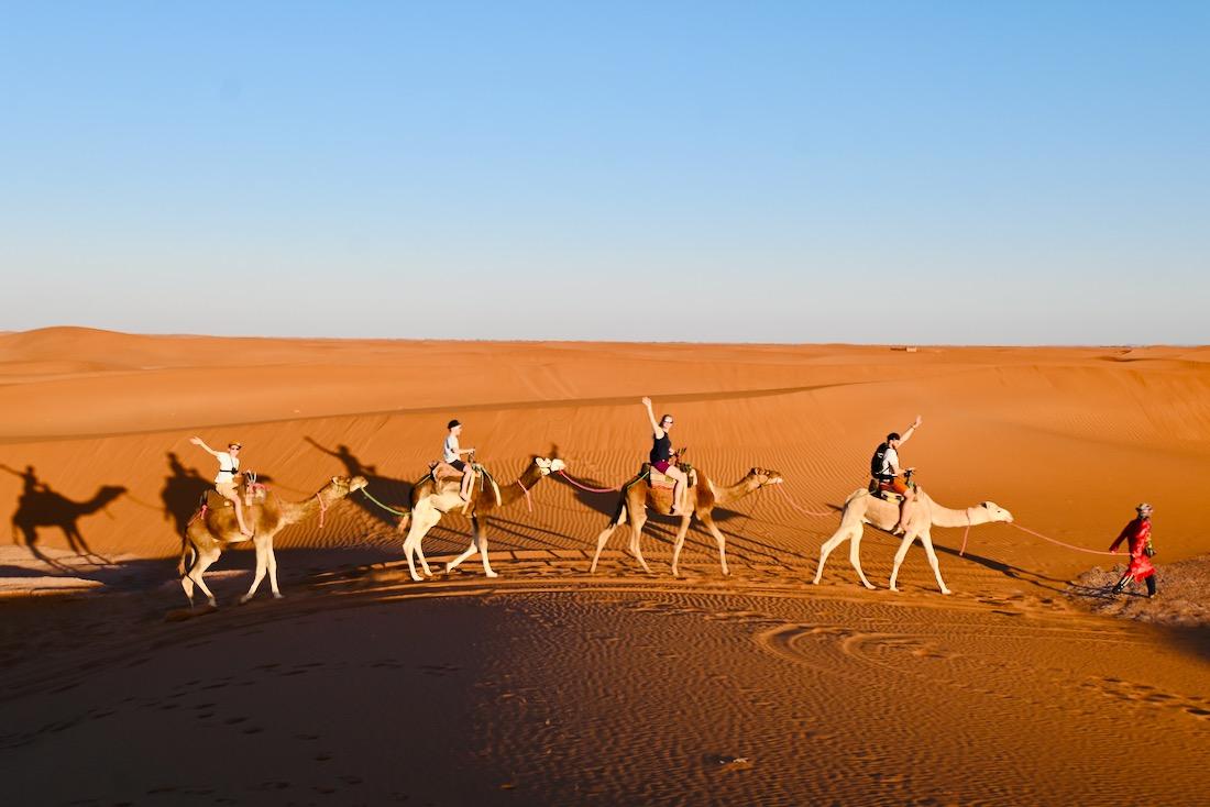 Fravely auf den Dromedaren durch die Sahara