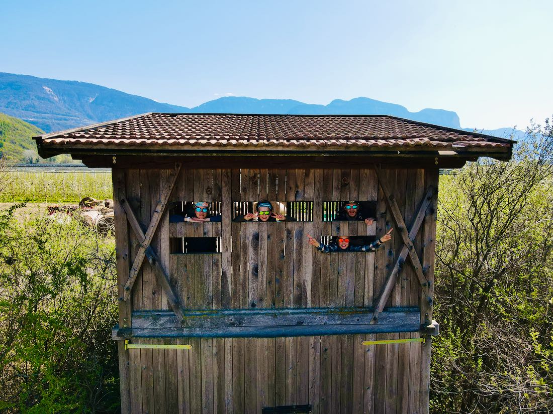 Wir schauen aus dem Vogel-Beobachtungshaus
