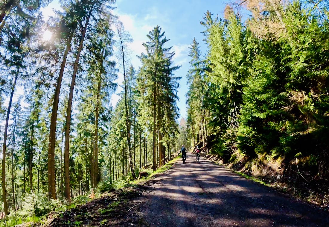Bergauf im Erzgebirge bei Stoneman Miriquidi