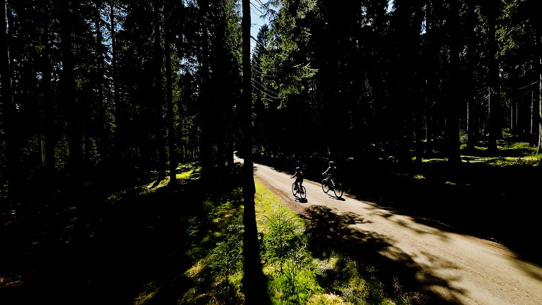 Flo und Ben im Dunkelwald bei Stoneman