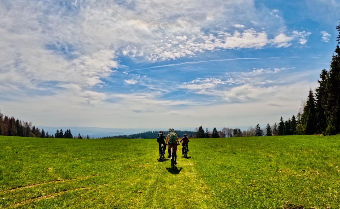 Mit den Mountainbikes über die Wiese