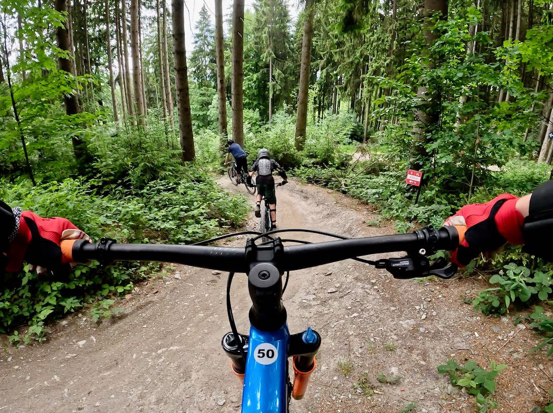 Auf dem Trail im Bikepark Schöneck