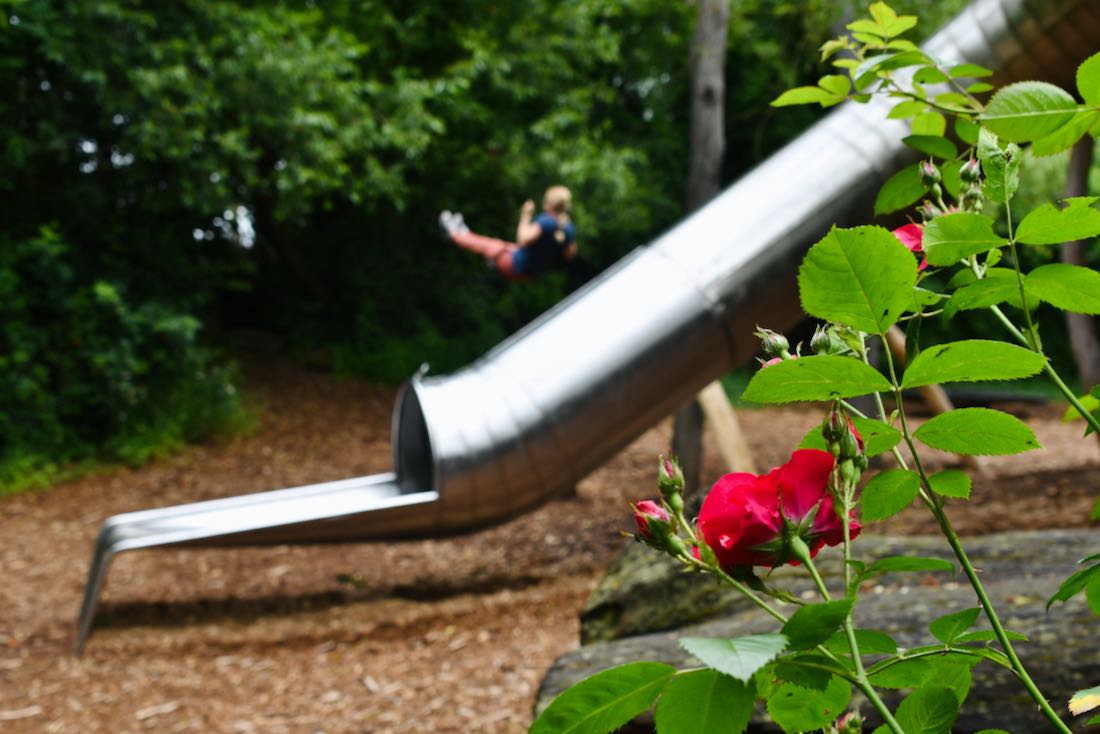 Blumen und Rutsche auf der Kulturinsel Einsiedel