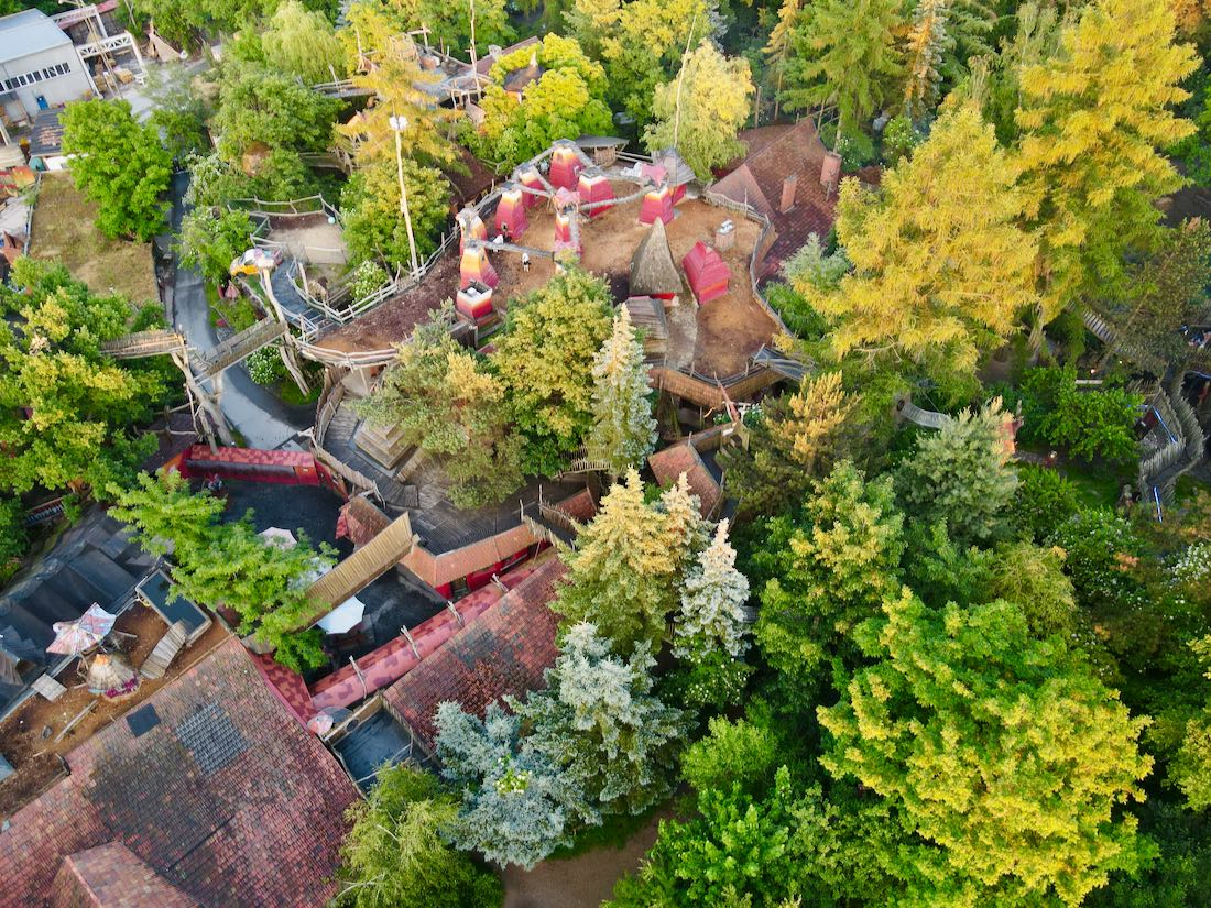 Die Kühe auf dem Dach der Kulturinsel Einsiedel Kroenum