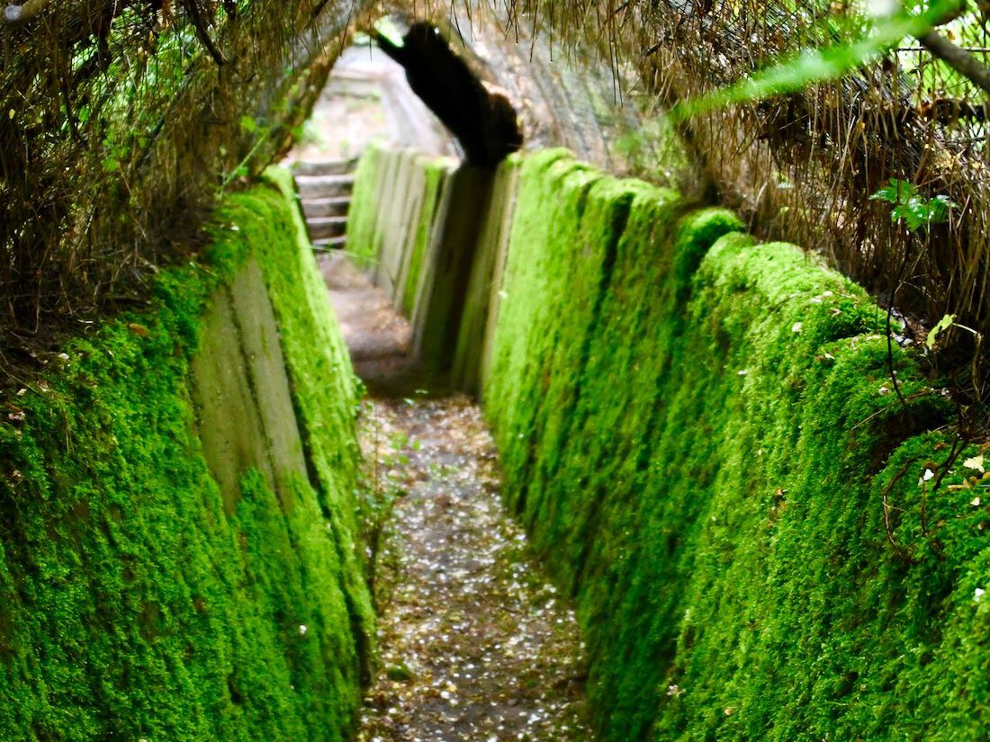 Ein verwunschener Gang in der Kulturinsel
