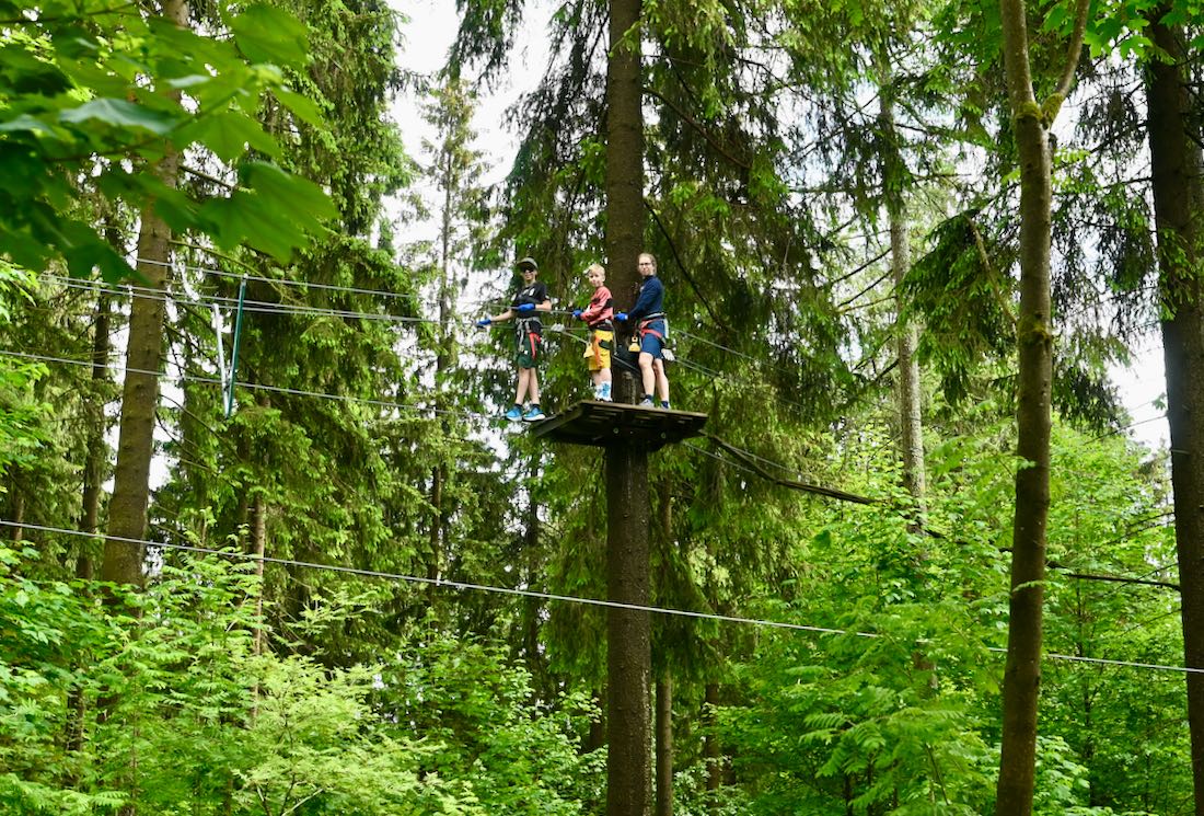 Flo, Ben und Melanie auf dem Baum im KLetterwald Schöneck