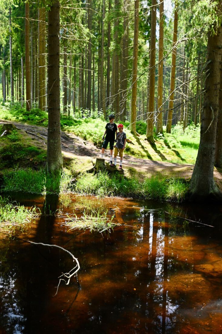 Flo und Ben im Wald im Vogtland