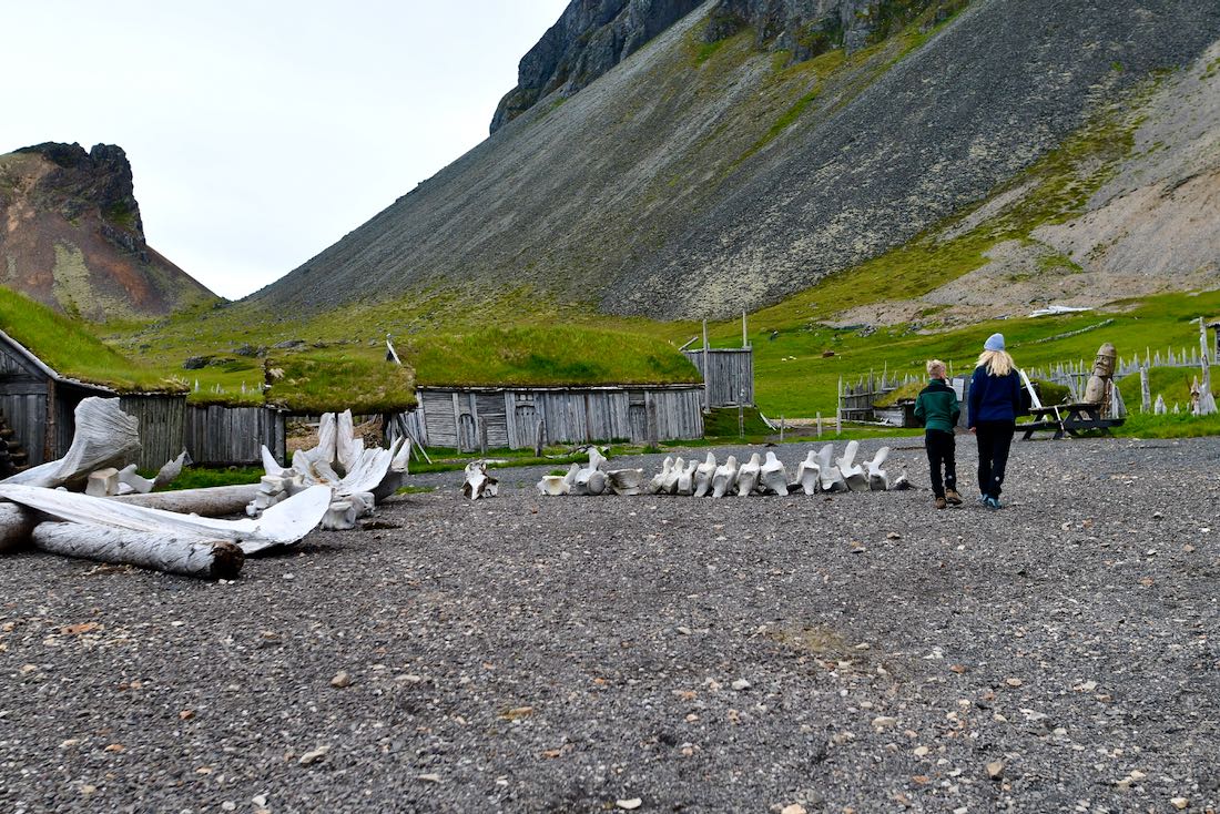 Das Vinkingerdorf am Vestrahorn