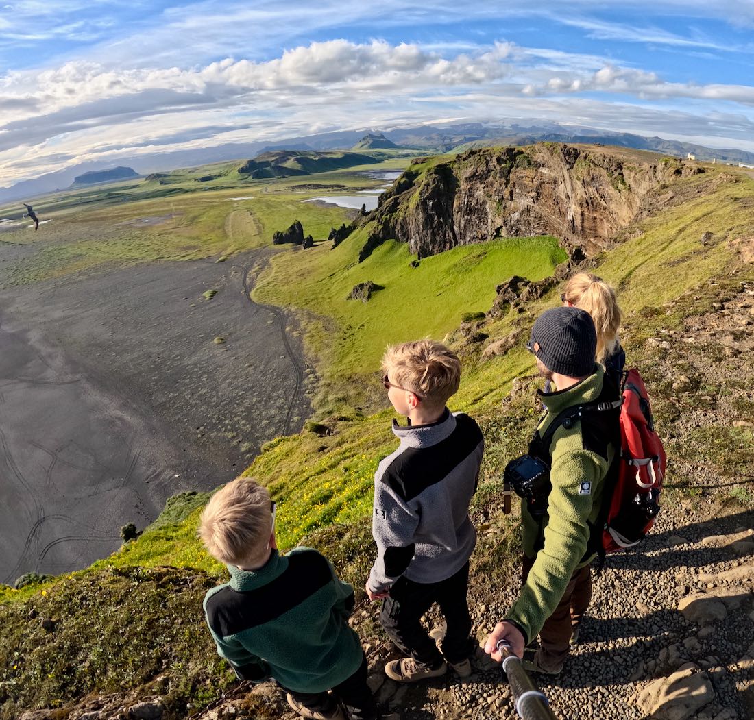 Fravely an den Klippen des Dyrholaey Leuchtturm