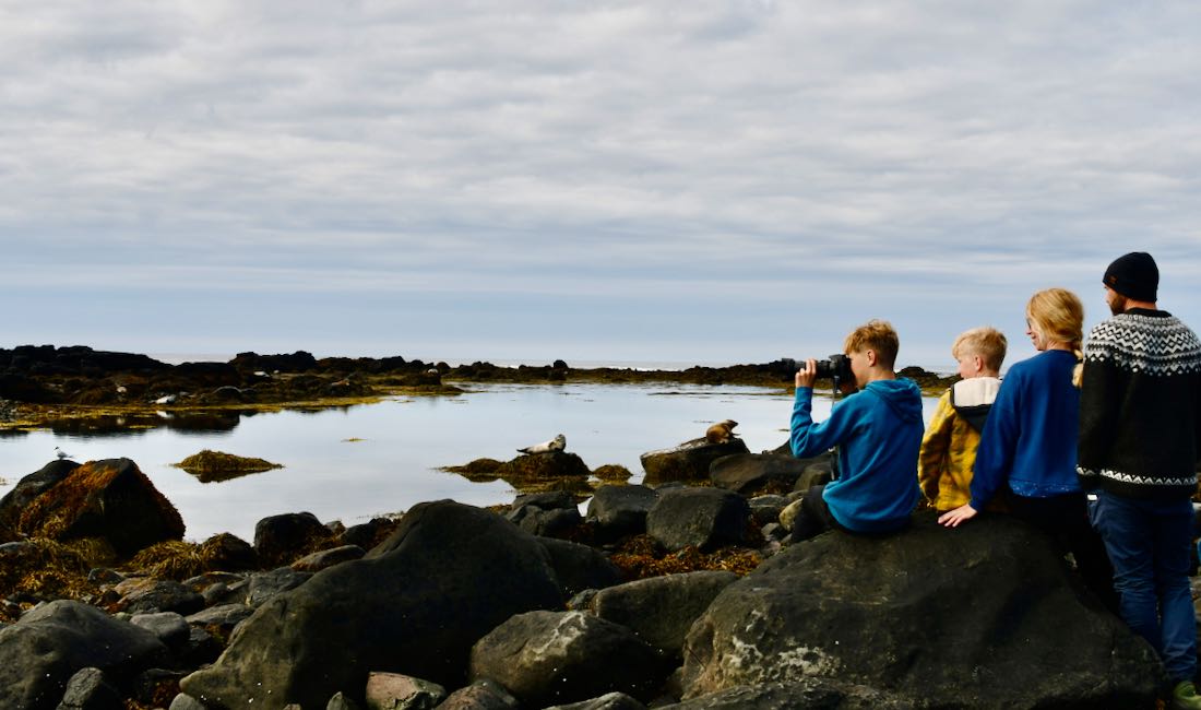 Fravely beobachtet Robben am Ytri Tunga