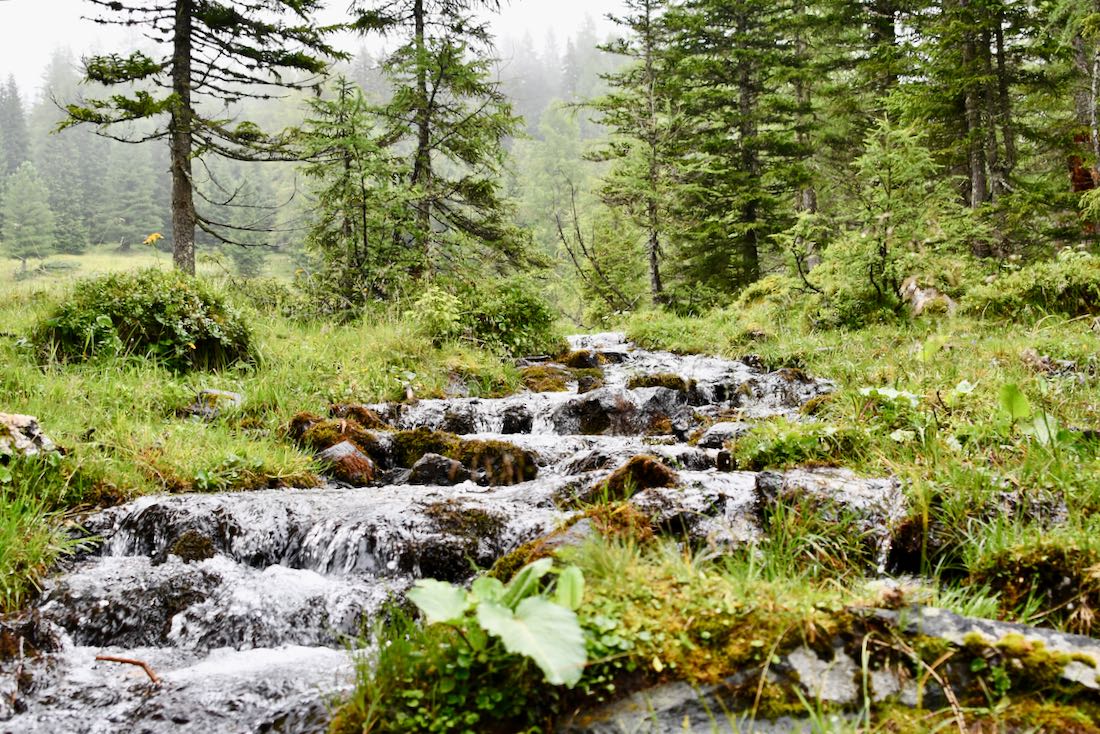 Kleiner Bach auf der Tauernkaralm