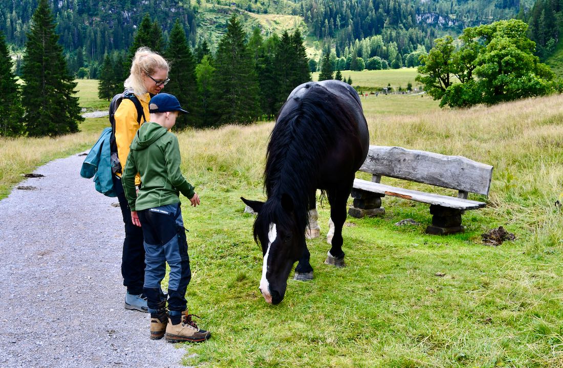 Melanie und Ben streicheln ein Pferd