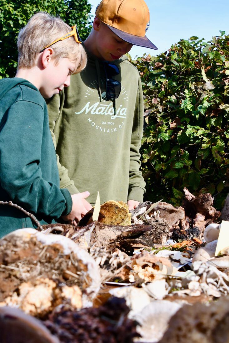 Ben und Flo bestaunen die Pilze im Neisseland in der Oberlausitz