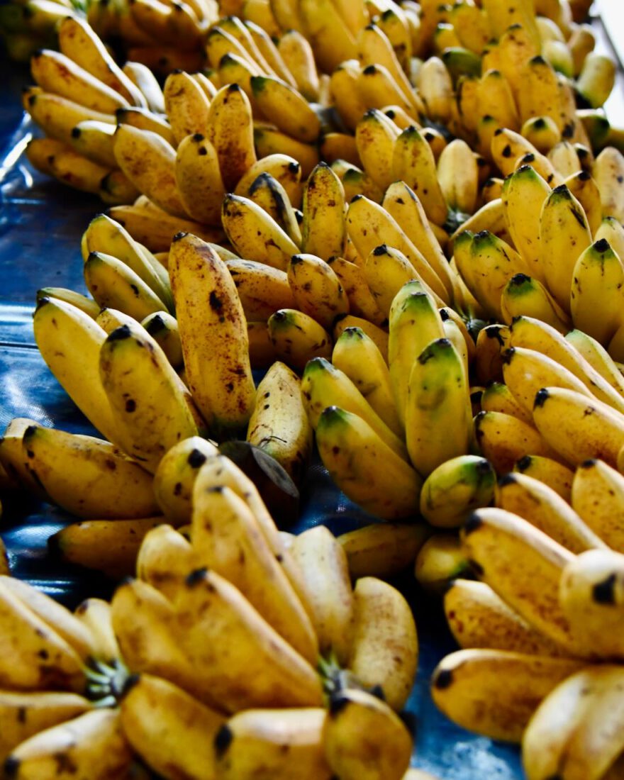 Bananen auf dem Markt in Kuching