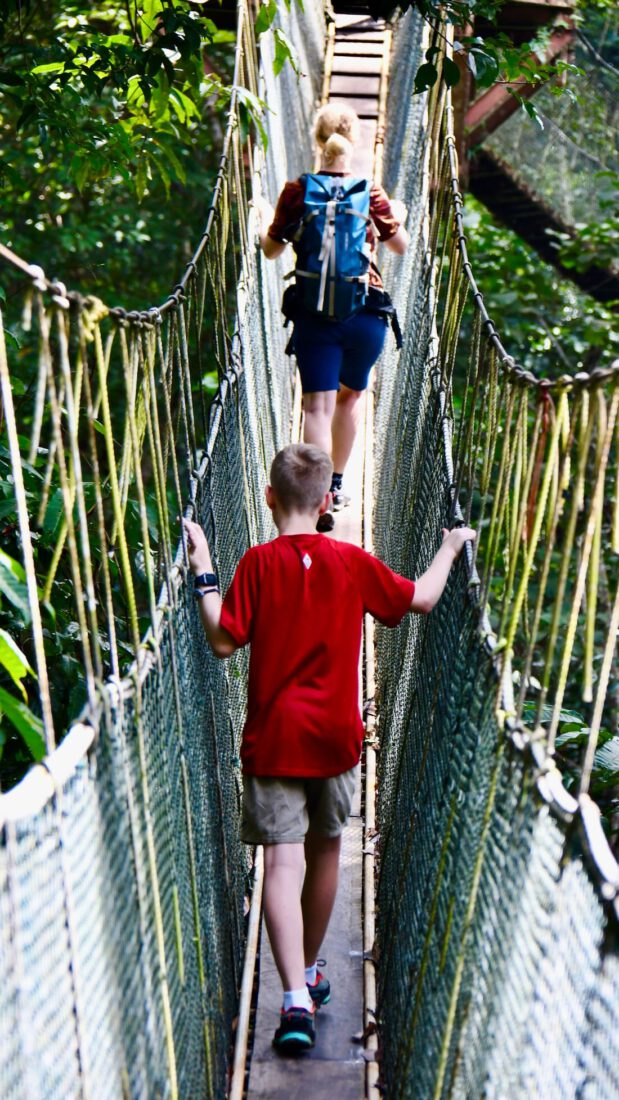 Ben und Melanie auf dem Canopy Walk