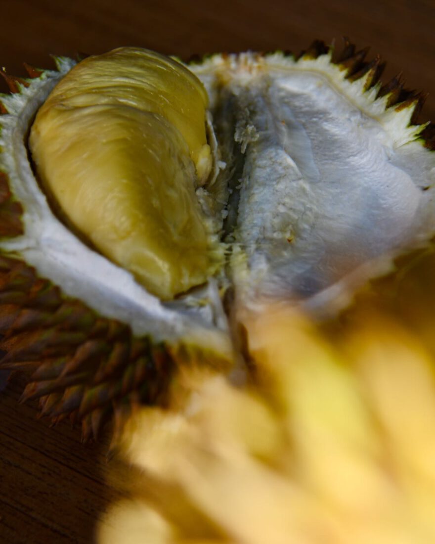 Eine Durian aus Malaysia