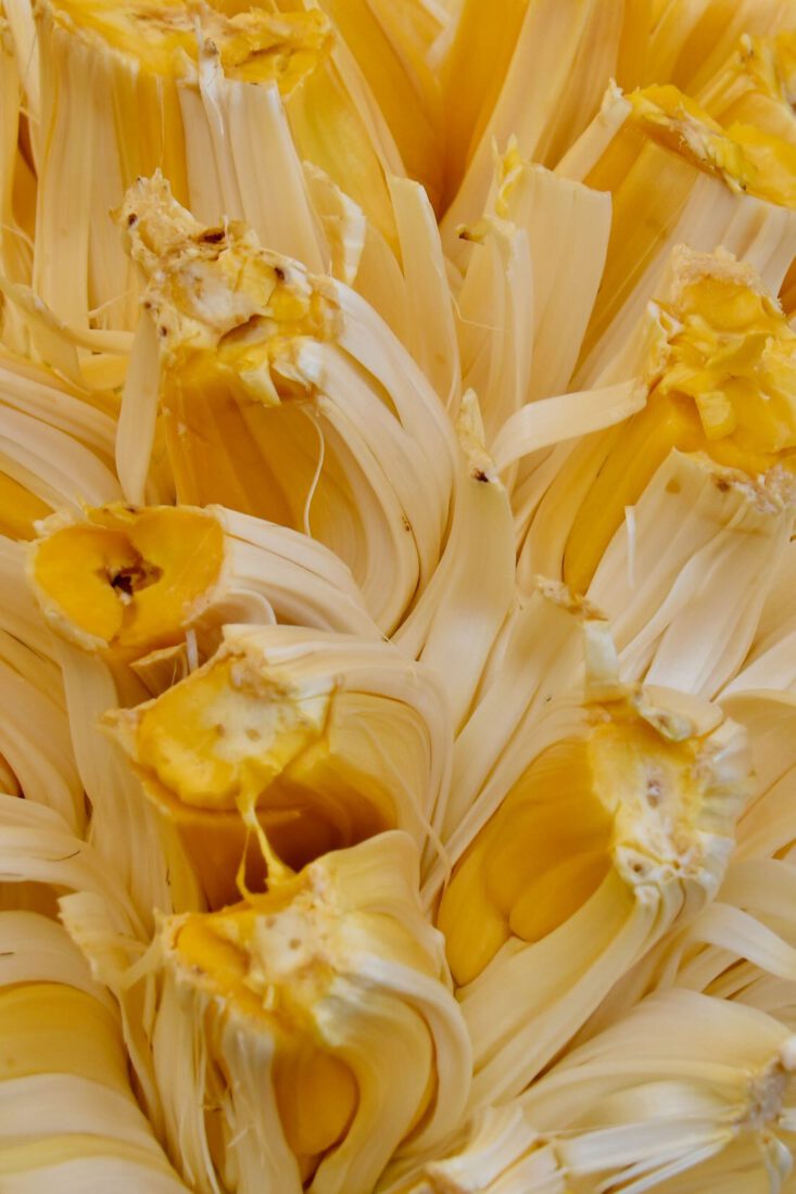 Jackfruite auf dem Nightmarket auf Langkawi