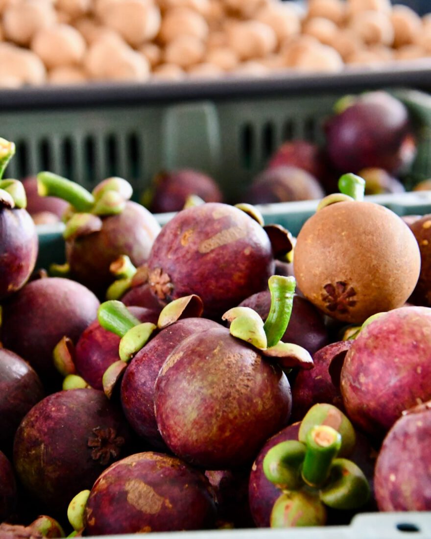 Mangosteen auf dem Markt in Kuching