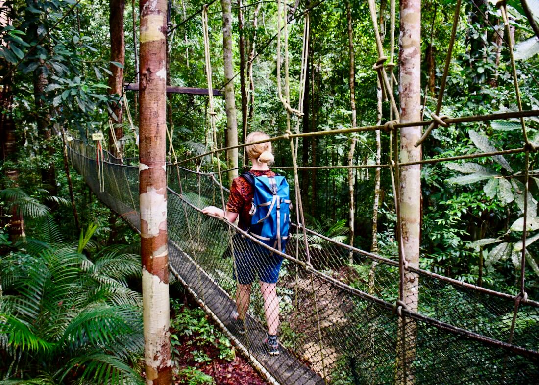 Melanie auf dem Canopy Walk im Taman Negara
