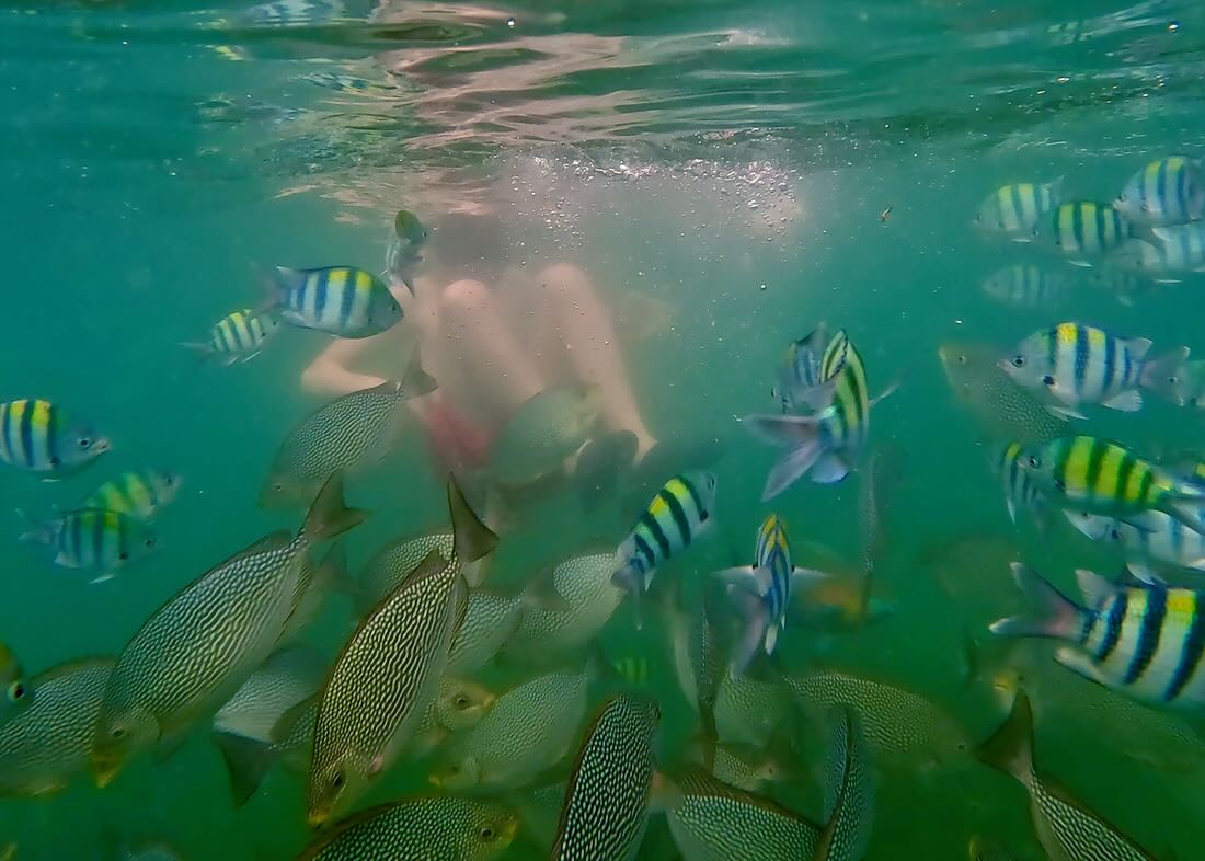 Ben zwischen viele Fischen im Wasser beim Schnorcheln auf Langkawi