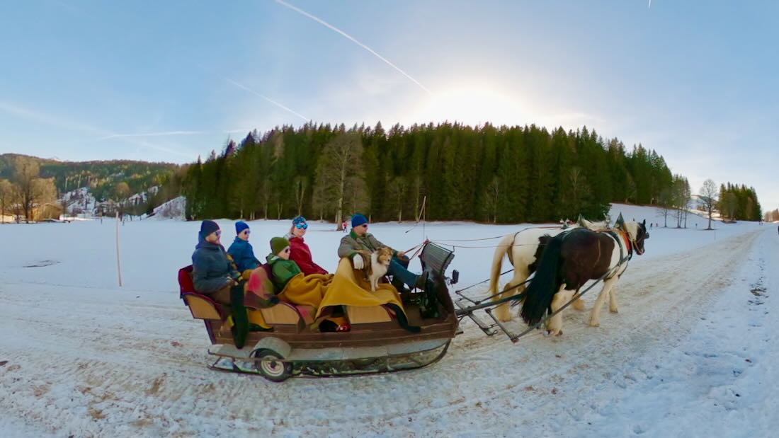 Fravely im Pferdeschlitten in Ramsau am Dachstein