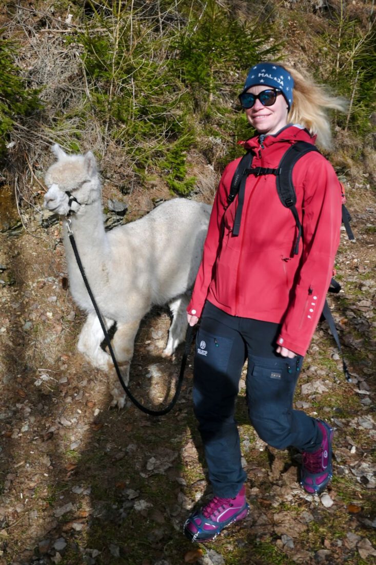 Melanie bei der Alpakawanderung in Ramsau am Dachstein