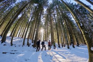 Lenggries - Den Frühling als Familie in den bayrischen Alpen erleben