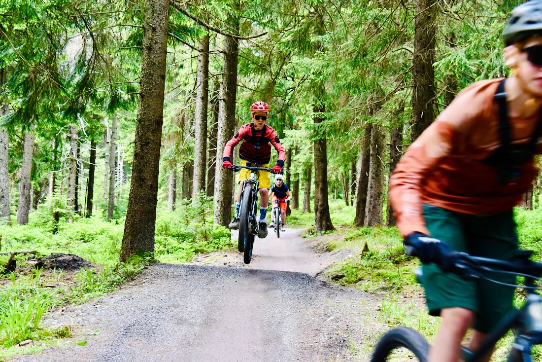 Ben auf dem Trail Park Klinovec