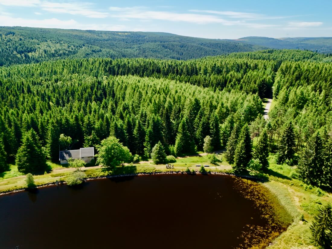 Der Wüster Teich und das Erzgebirge
