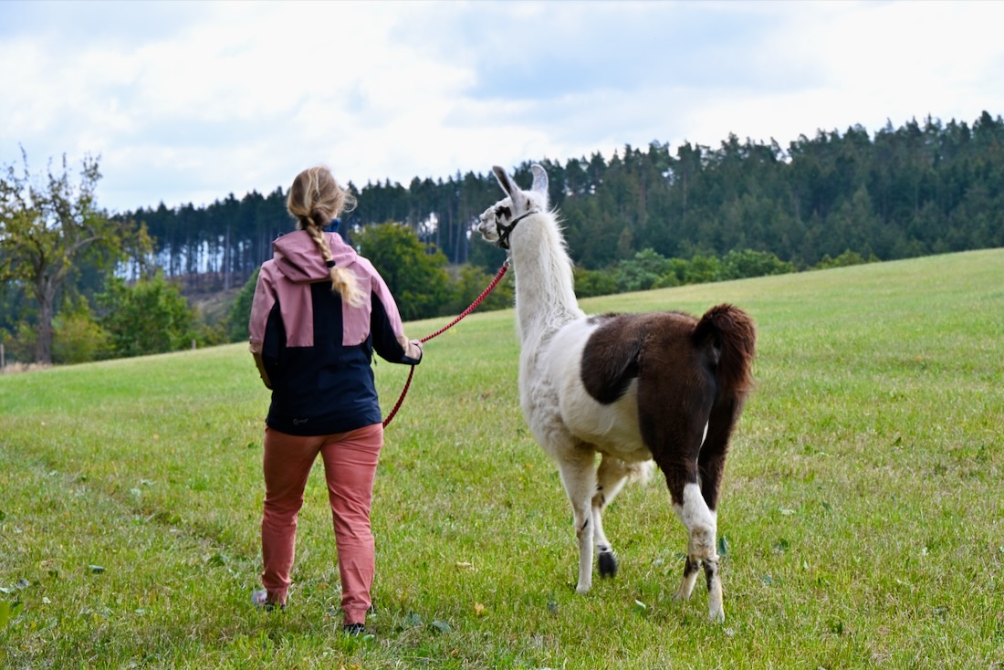 Melanie mit Lama im Votland am Zeulenrodaer Meer