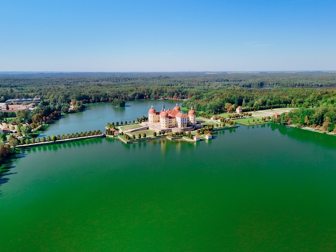 Schloss Moritzburg in Sachsen
