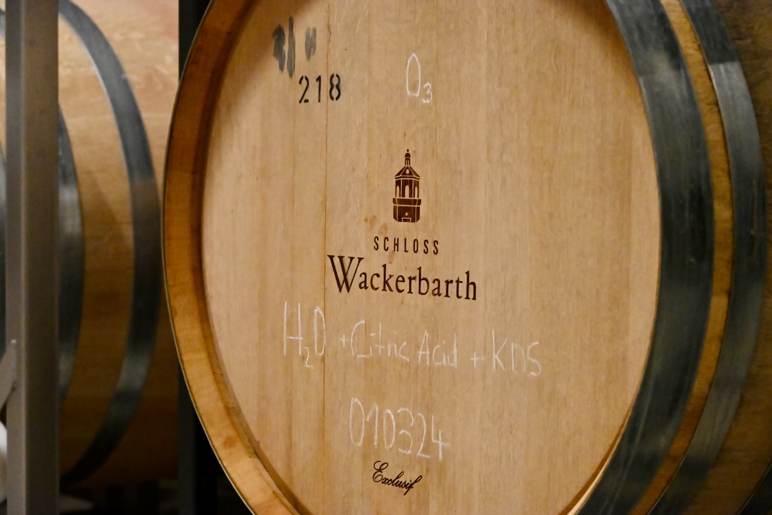 Weinfass vom Schloss Wackerbarth