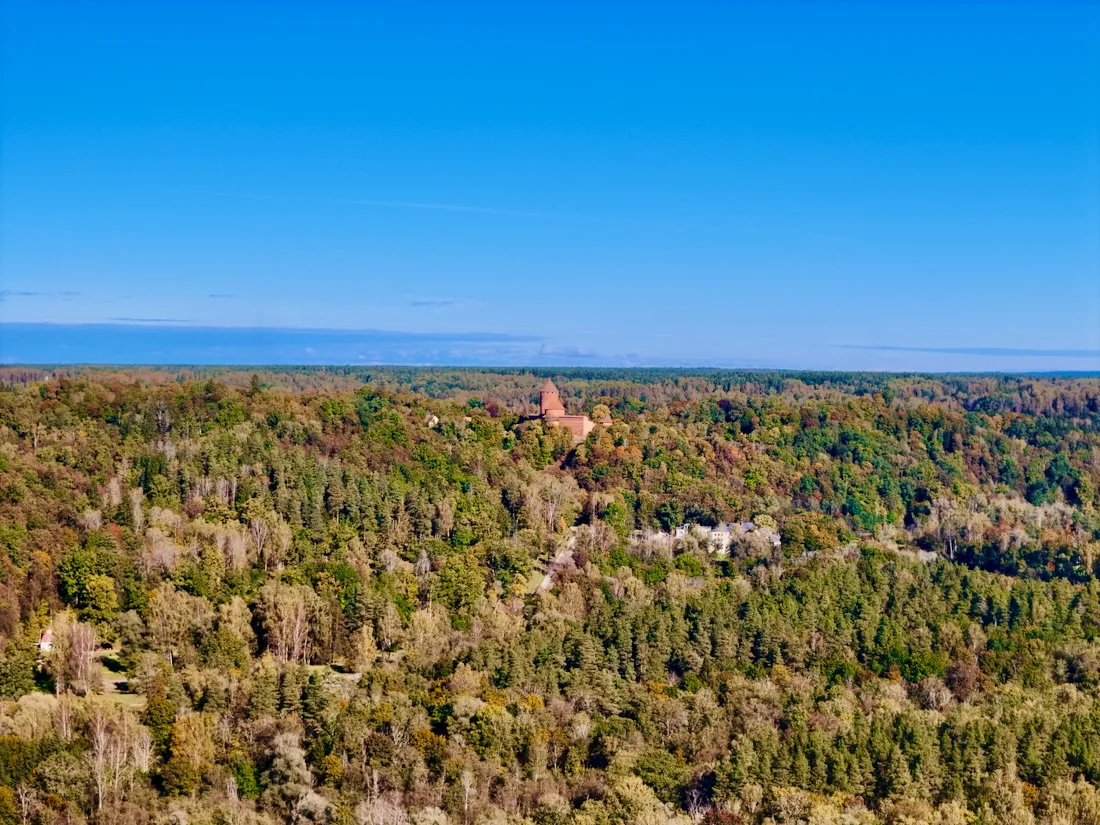 Blick über den Gauja Nationalpark in Lettland