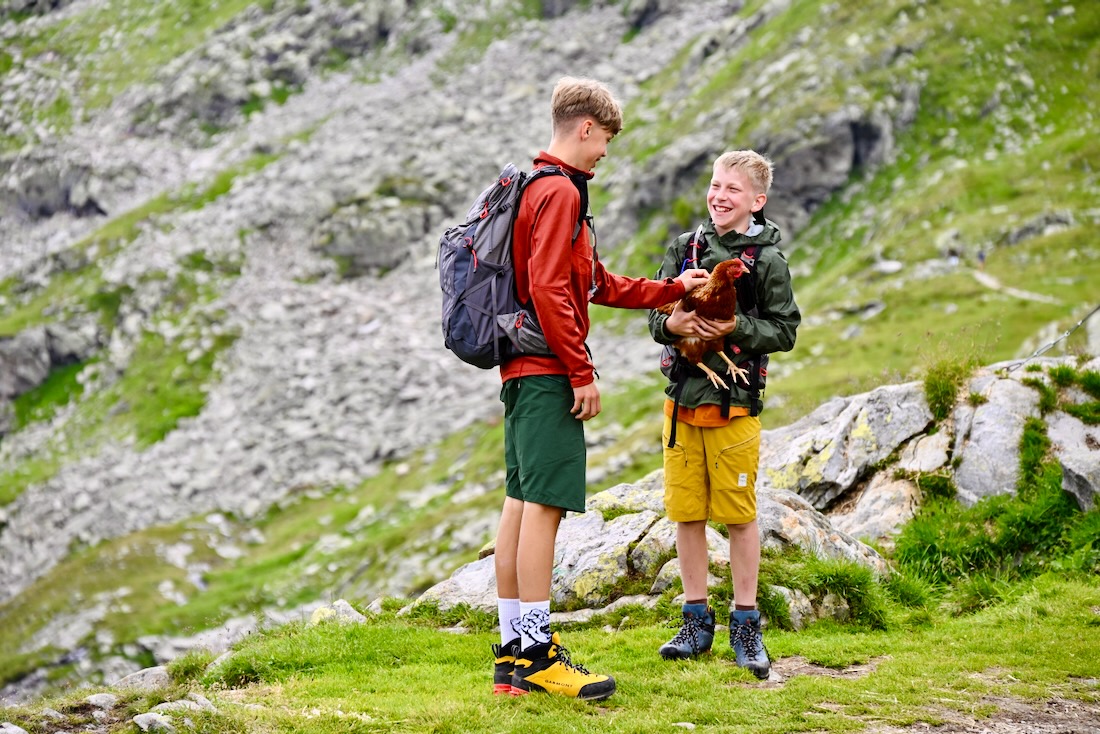 Flo und Ben mit einem Huhn an der Olperer Hütte