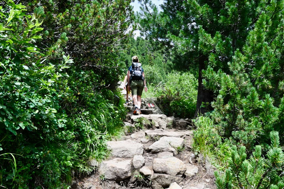 Fravely auf dem Wanderweg zur Olperer Brücke