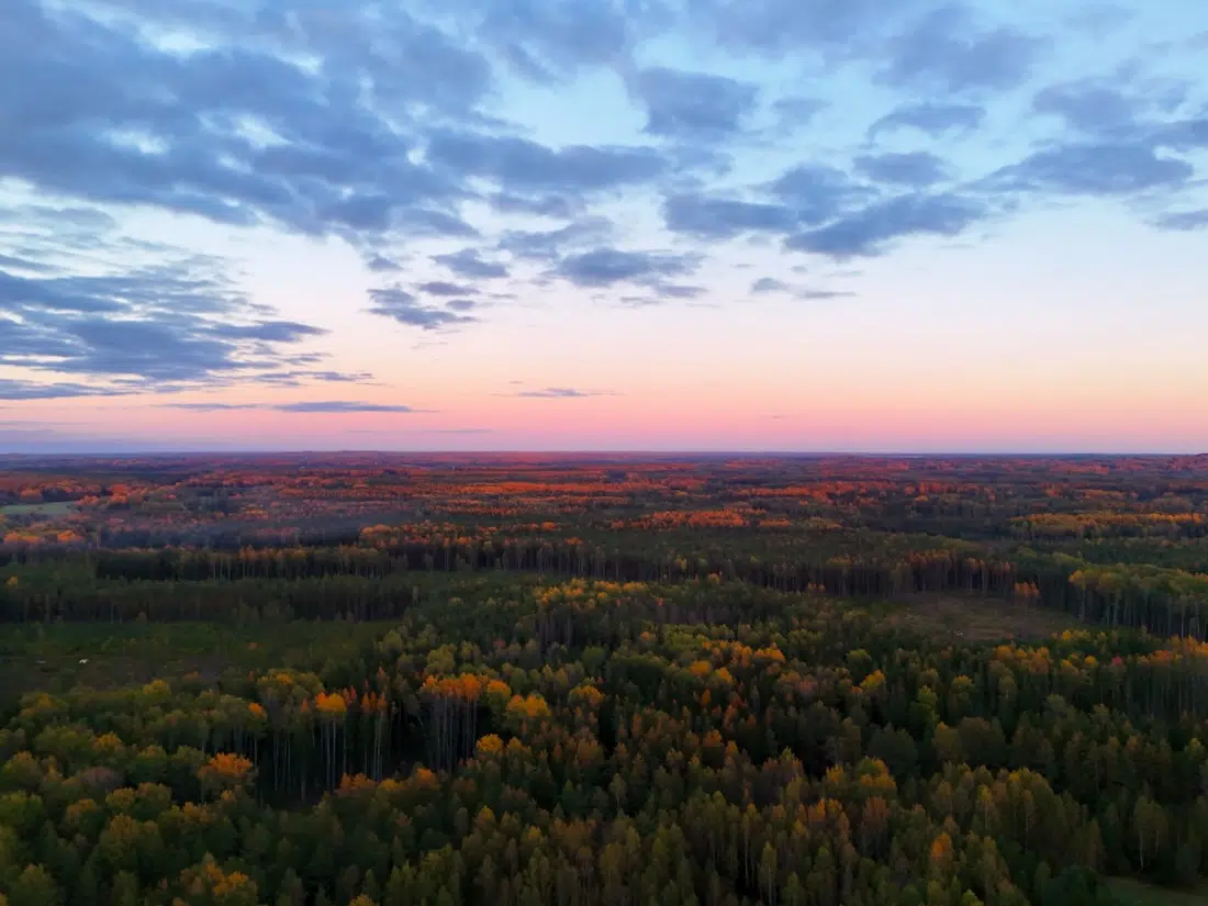 Sonnenuntergang im Gauja Nationalpark in Lettland