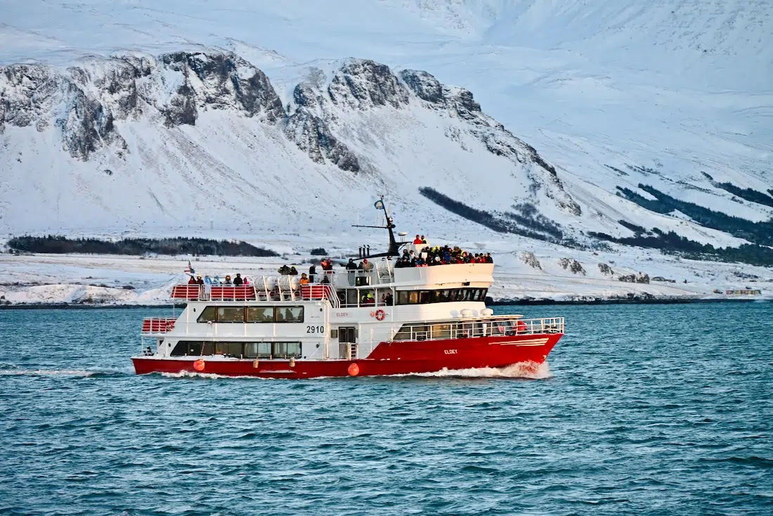 Ein Elding Whalewatching Boot