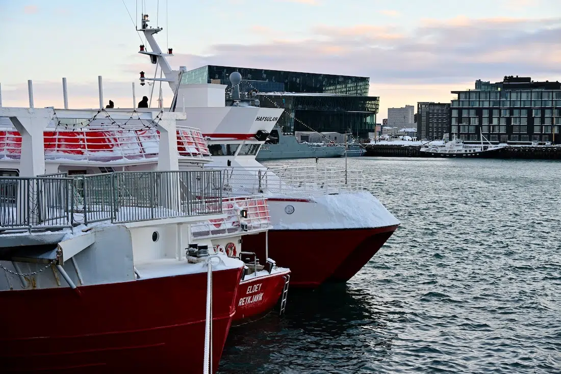 Elding Whalewatching Schiffe in Reykjavik