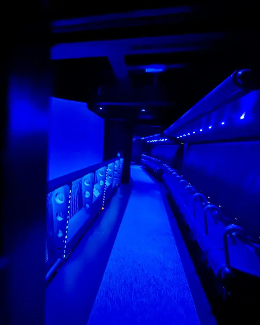 Fly over Iceland - Die Sitze