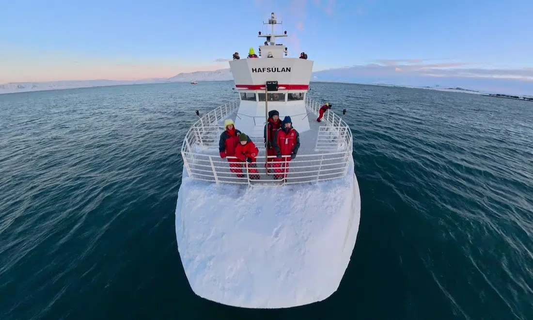 Fravely auf dem Schiff von Elding Whalewatching