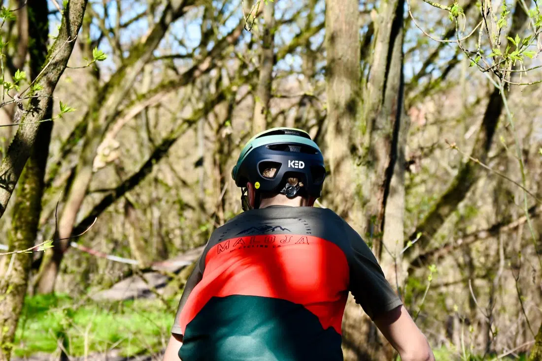 Der KED Pector ME-1 grün von hinten