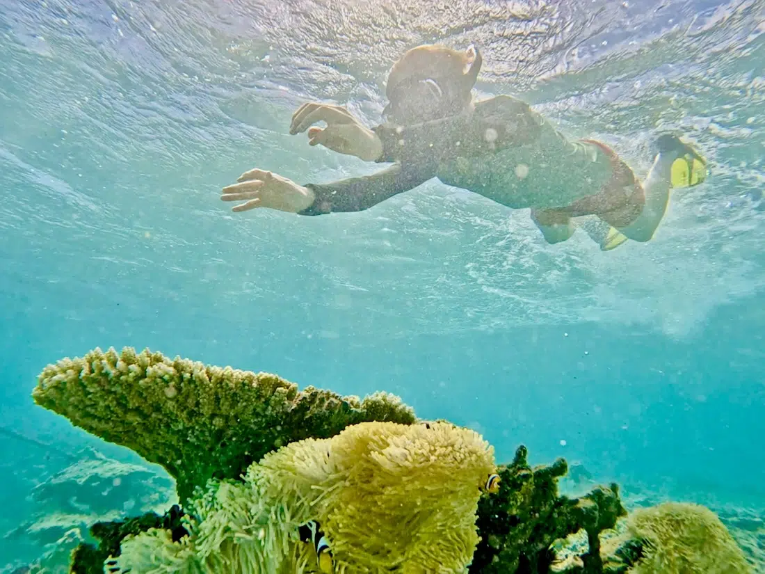 Ben schnorchelt in der Riviere Banane