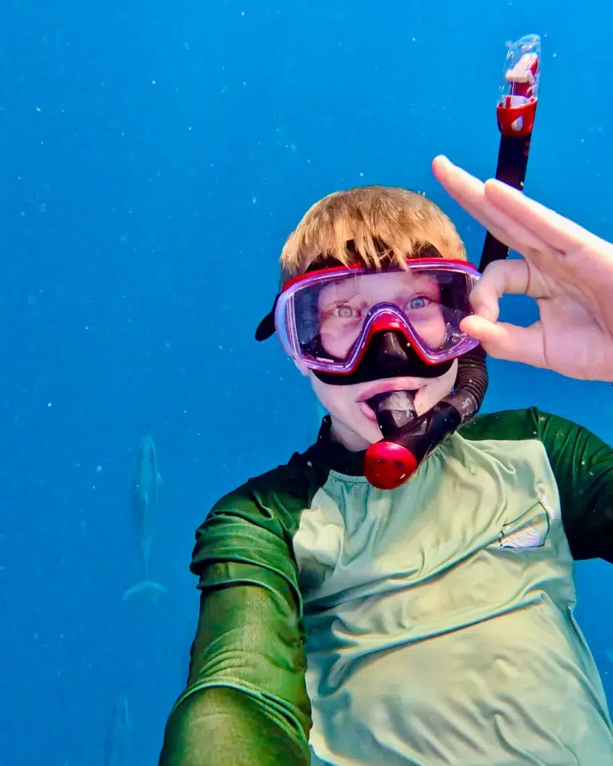 Ben schwimmt mit Delfinen auf Aufritius