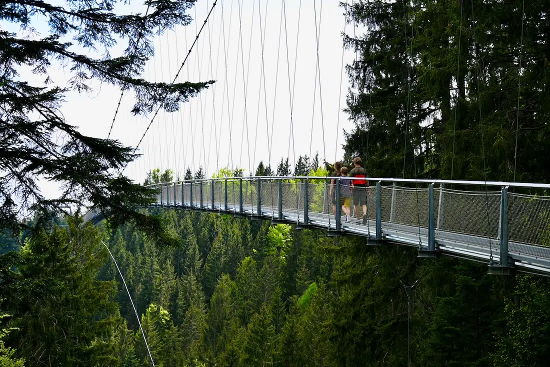 De Hängebrücke WILDLINE am Sommerberg in Bad Wildbad