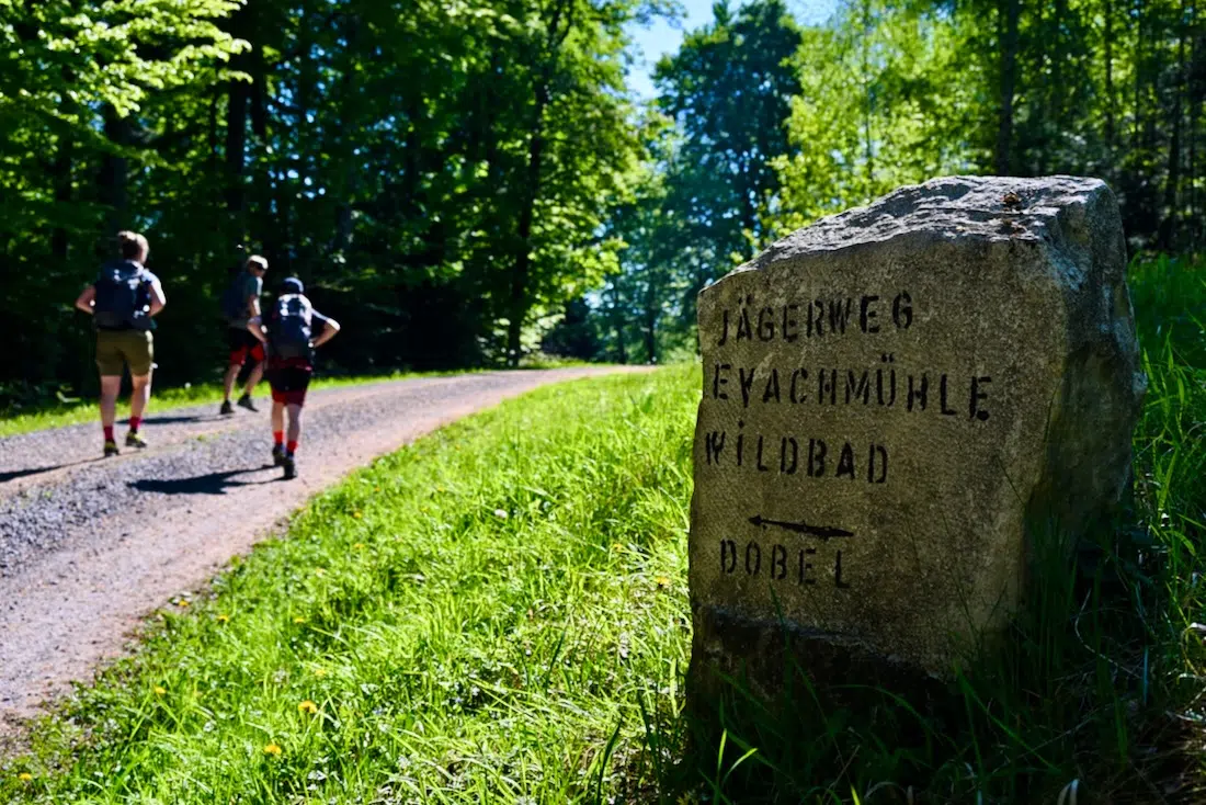 Der ALBTAL.Abenteuer.Track in Bad Herrenalb im Schwarzwald