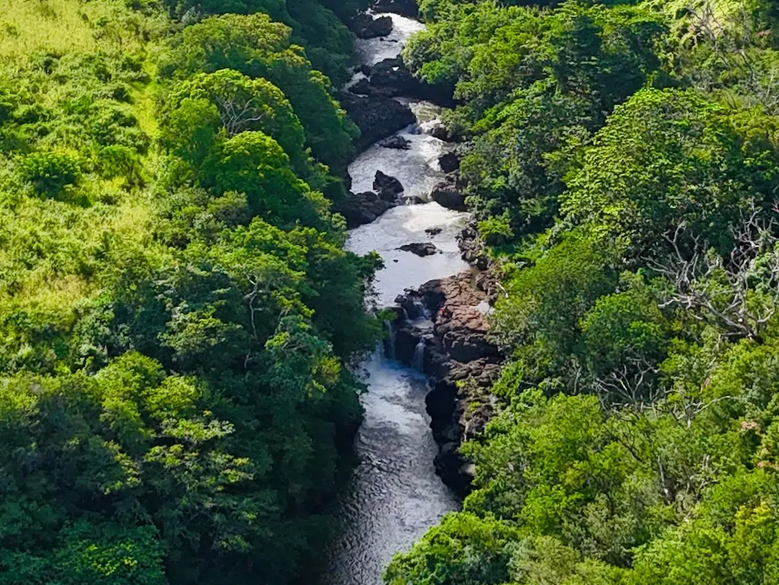 Der GRSE Wasserfall auf Mauritius