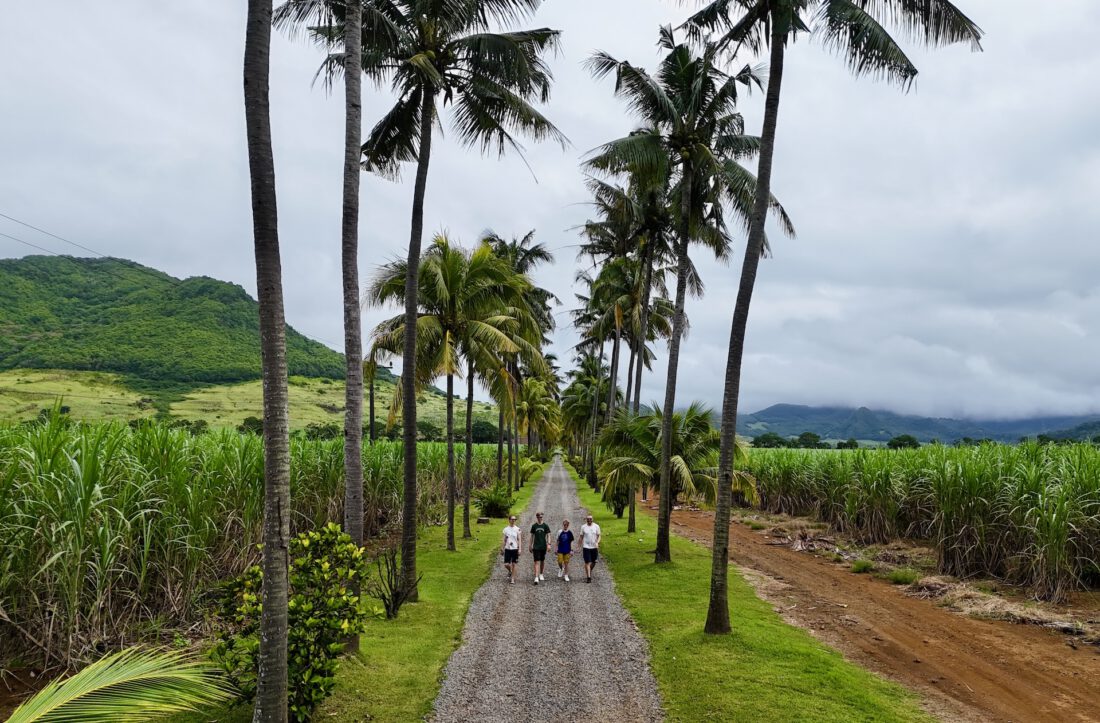 Die Trauminsel Mauritius - ein perfektes Urlaubsziel für Familien die Strand, Natur und Abenteuer suchen